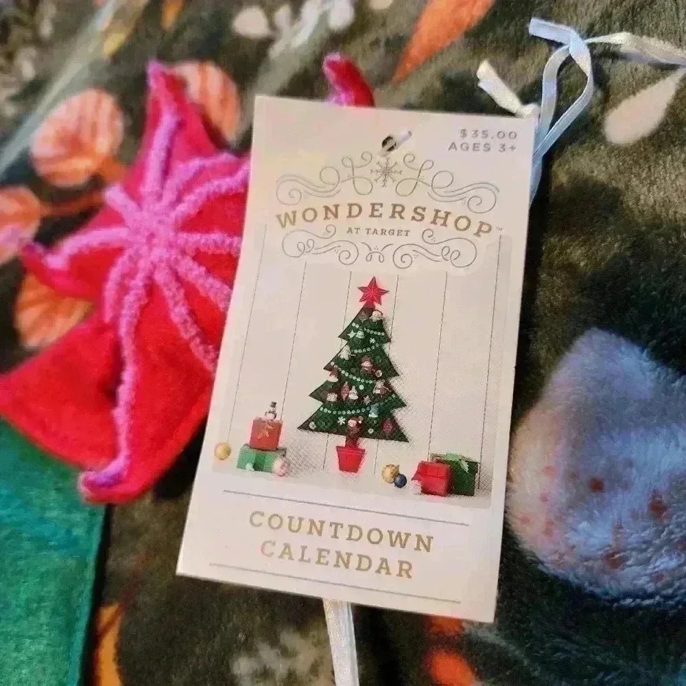 Target Wondershop Featherly Friends Countdown Advent Calendar Birds NEW 2022 - Picture 3 of 3